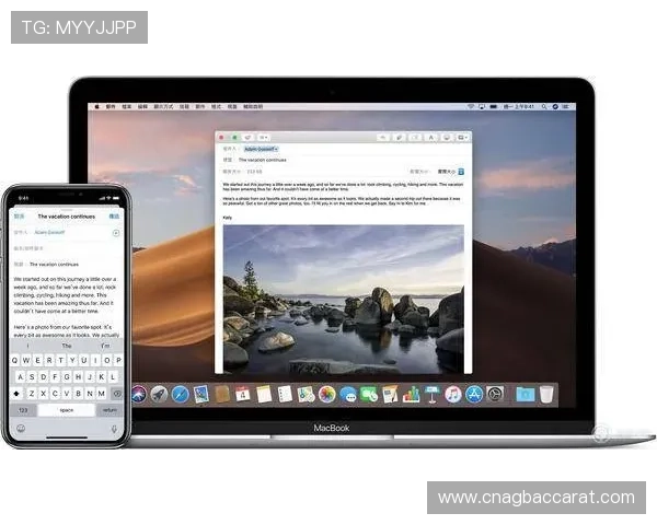 wm视讯多平台兼容支持手机电脑多设备无缝切换体验