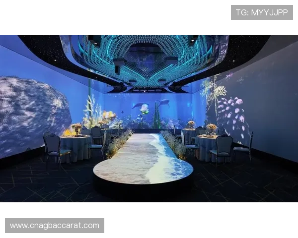 在ag视讯贵宾厅中感受VIP专属待遇享受个性化定制的娱乐服务体验