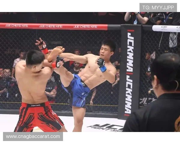 真人竞技场带你进入真实战场中感受顶级格斗盛宴激烈发汗 真人竞技场带你进入真实战场中感受顶级格斗盛宴激烈发汗